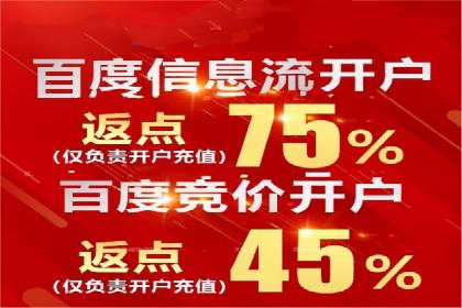 竞价广告的创意与执行：某快消品的营销突破